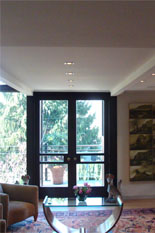 Steiner residence art lighting